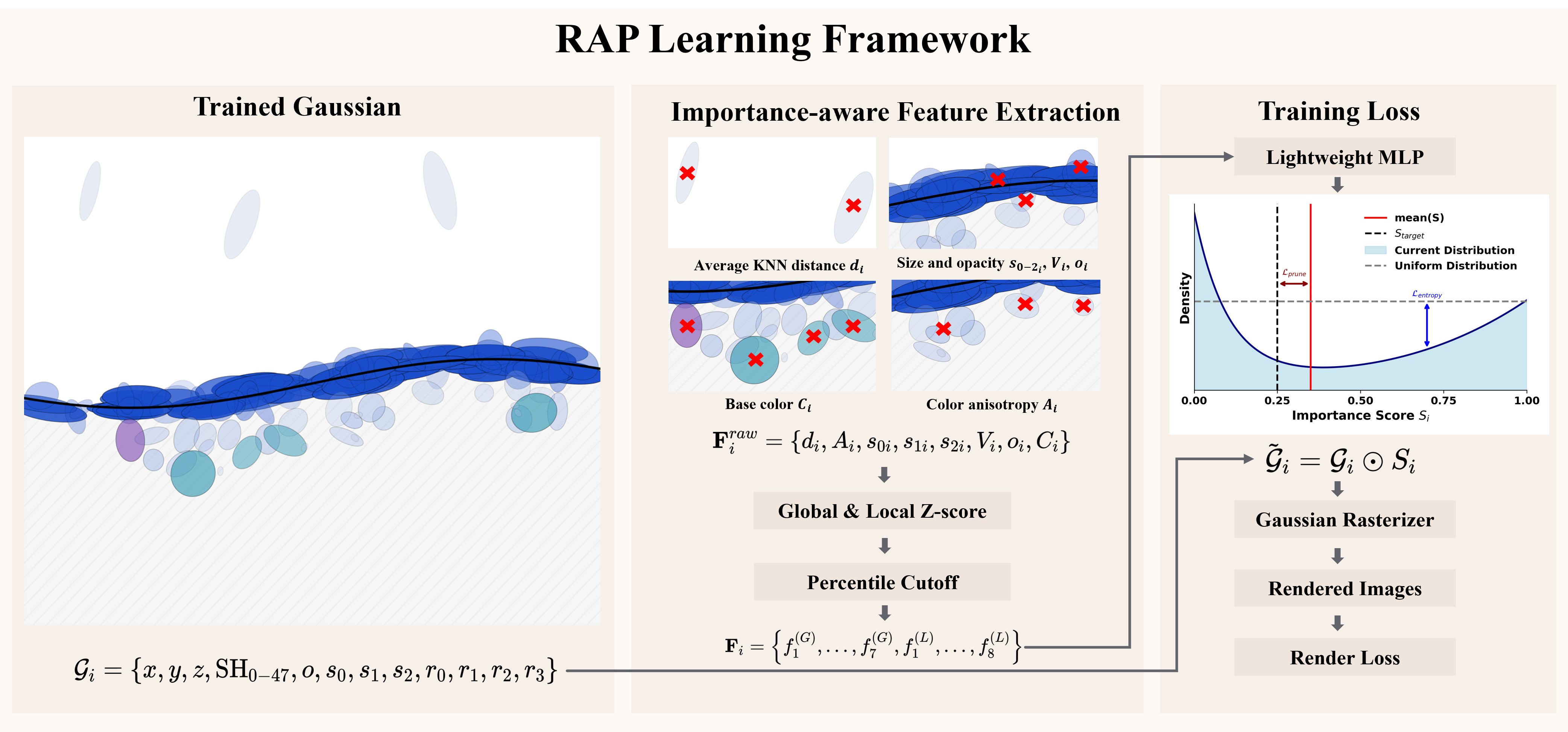 RAP training and inference framework